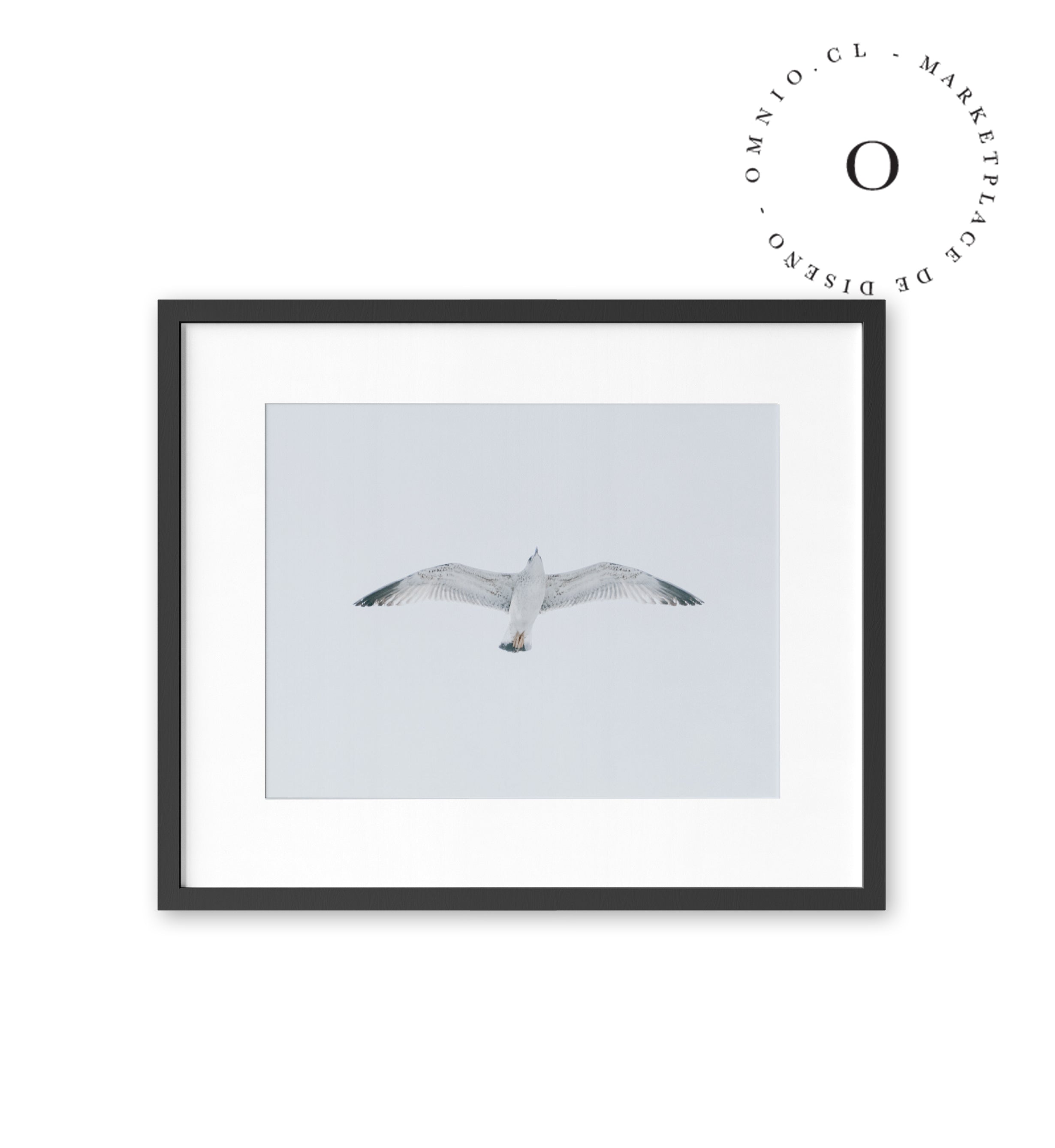 Gaviota II Cuadro