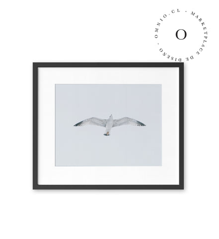 Gaviota II Cuadro