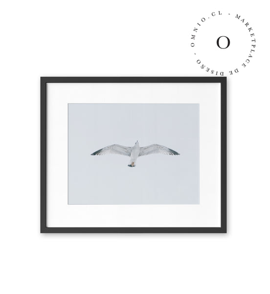 Gaviota II Cuadro