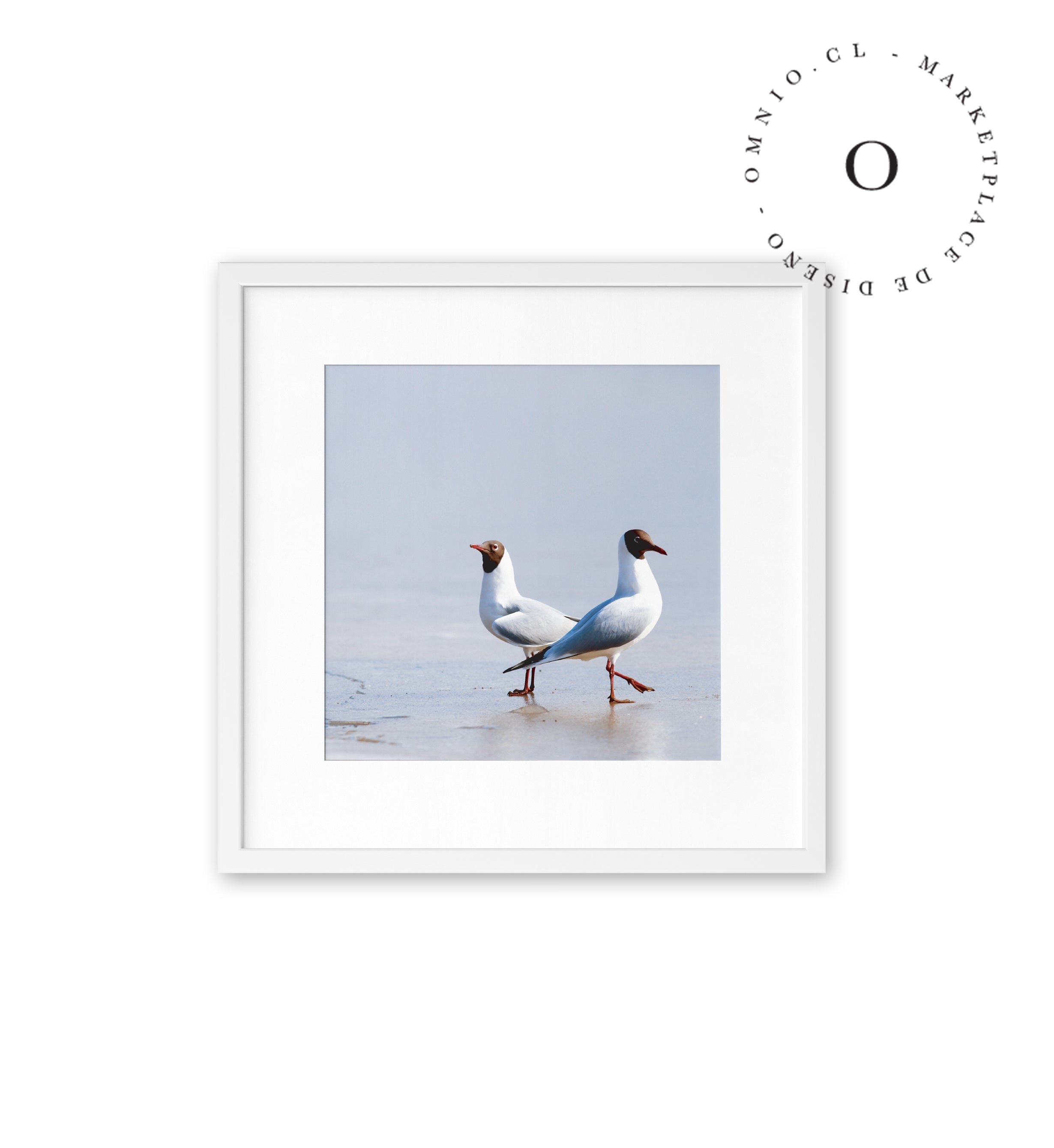 Gaviotas Cuadro Blanco Con Passepartout Cuadrado 35cm X 35cm