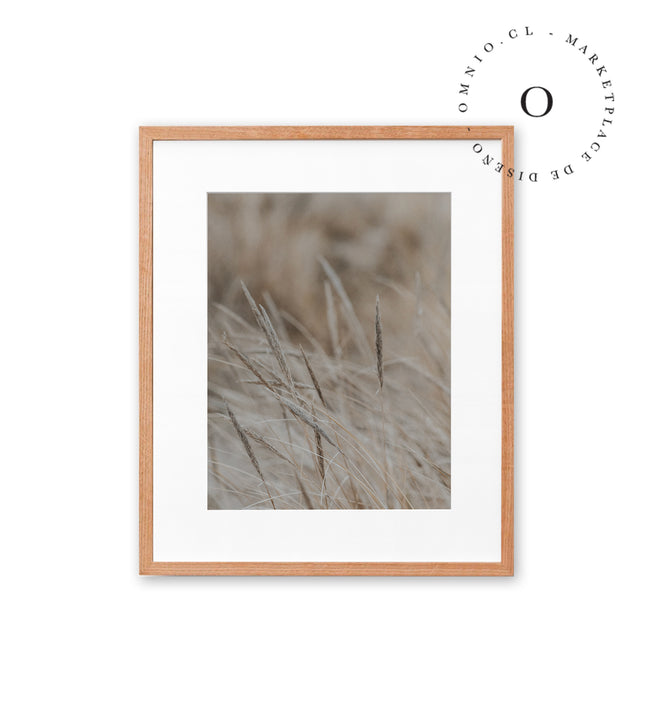 Golden Grass Cuadro
