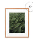Green Grass Cuadro