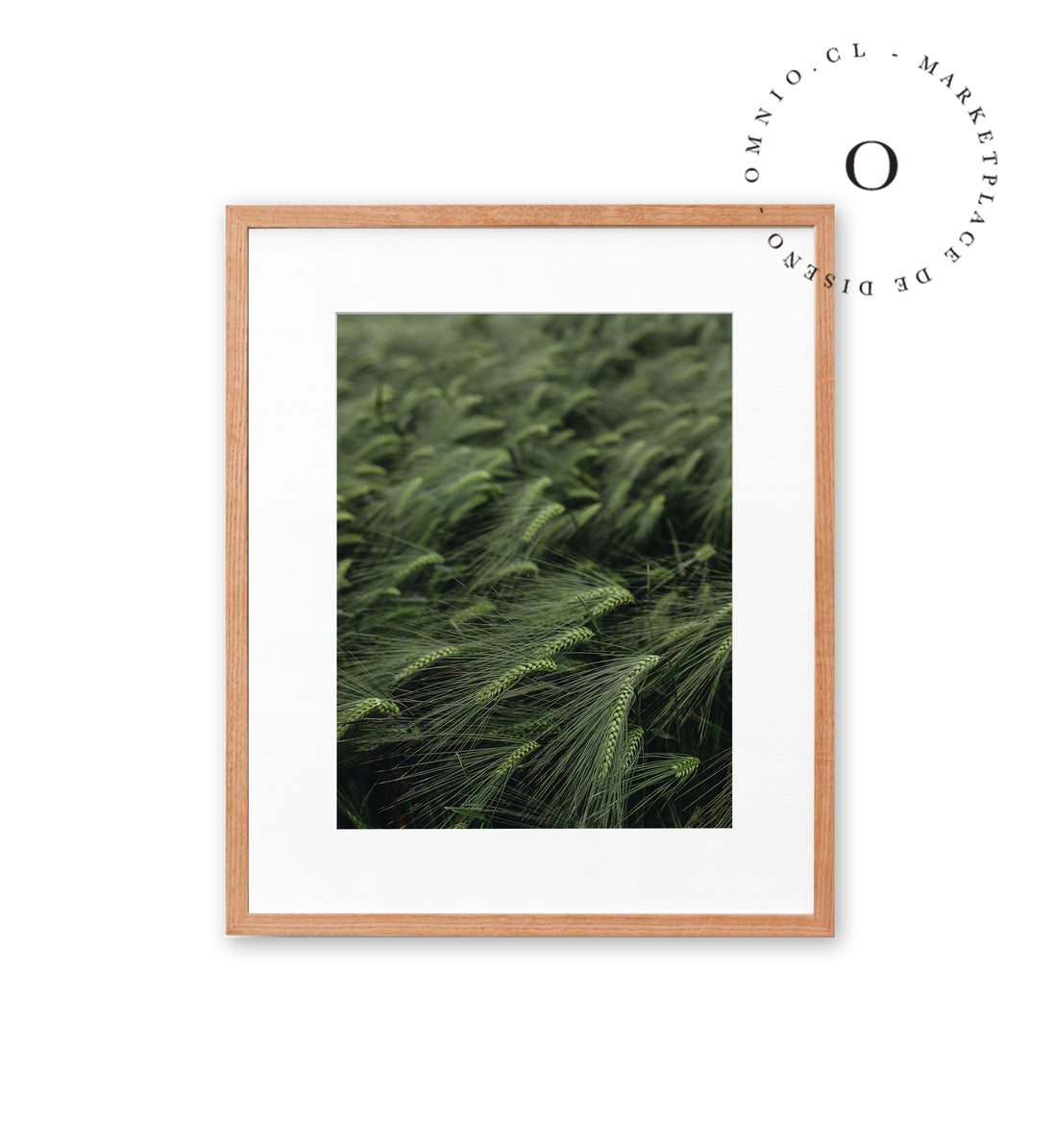 Green Grass Cuadro