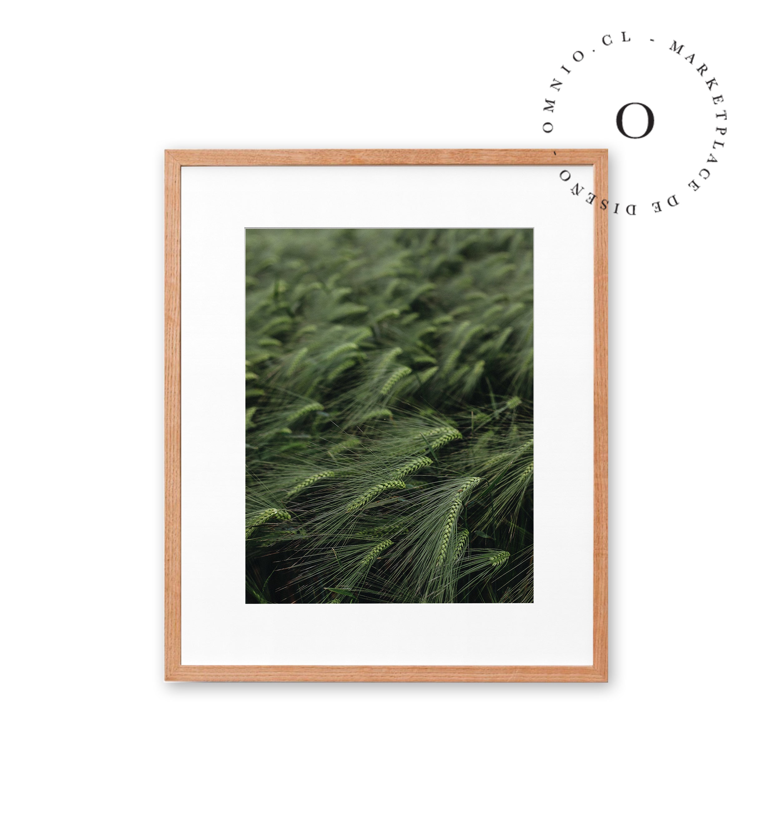 Green Grass Cuadro