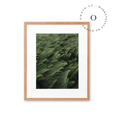 Green Grass Cuadro
