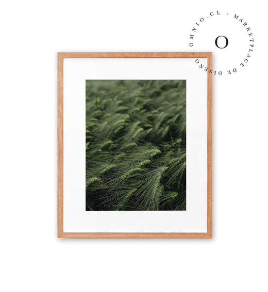 Green Grass Cuadro