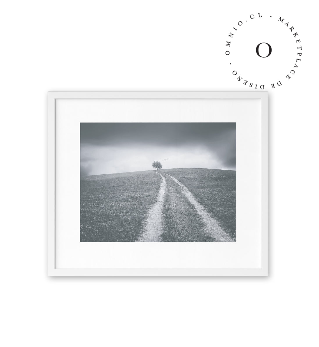 Grey Path Cuadro