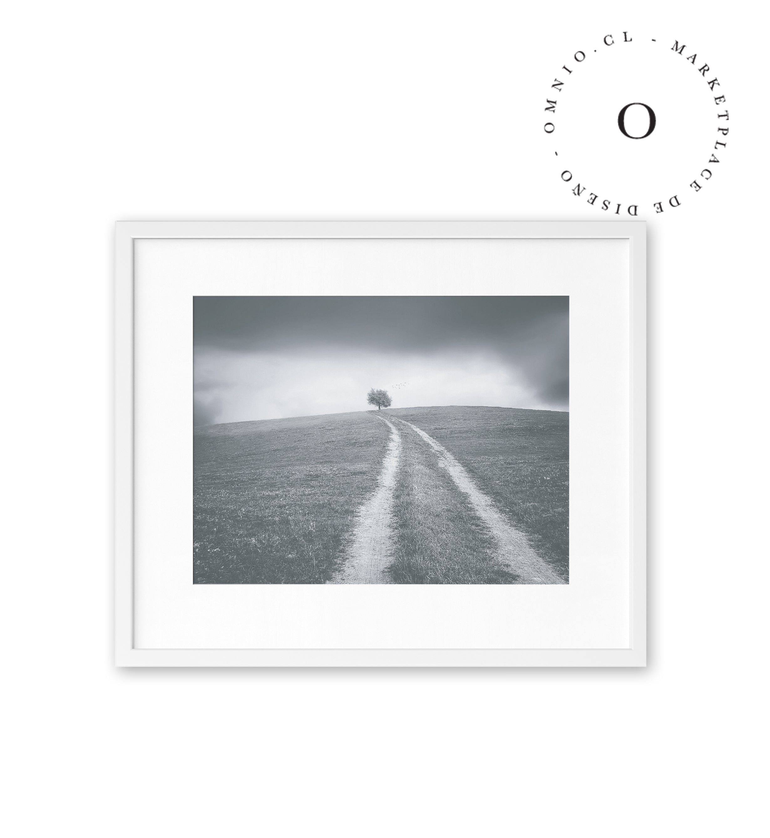 Grey Path Cuadro