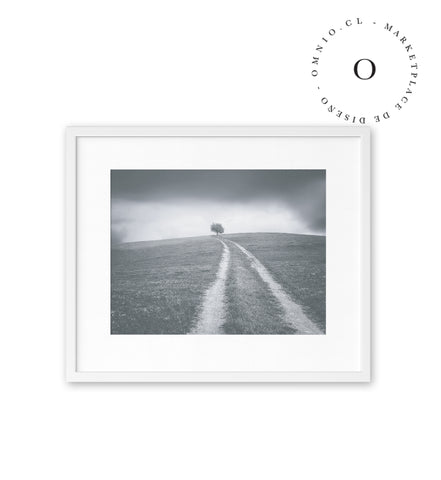 Grey Path Cuadro