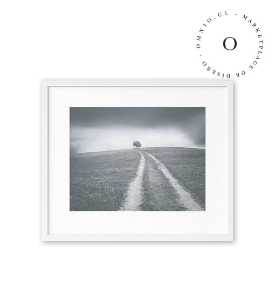 Grey Path Cuadro