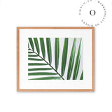 Hoja Diagonal Cuadro