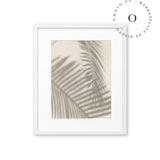 Leaf Shadow Cuadro