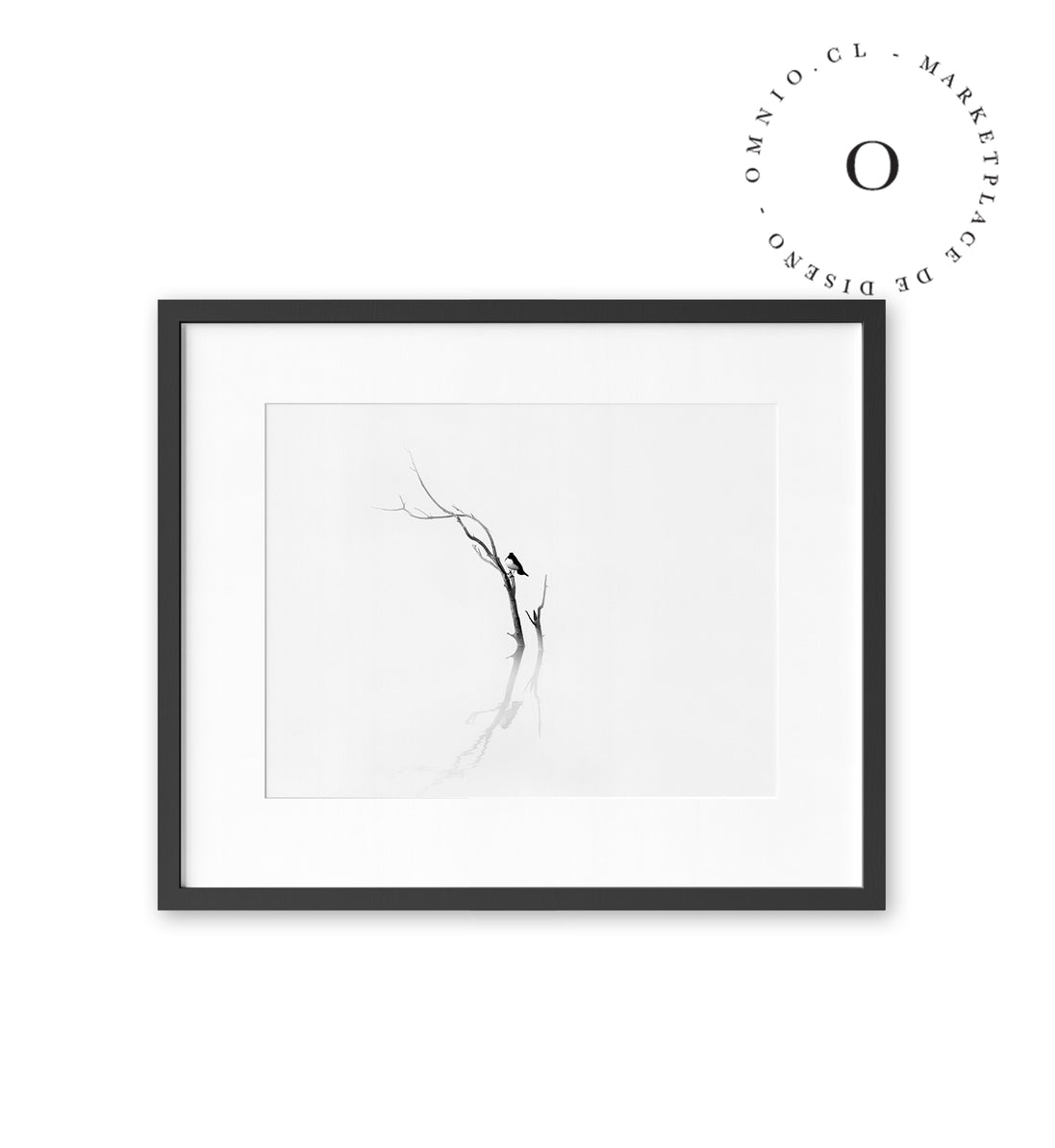 Lonely Bird Cuadro