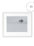 Lonely Tree Cuadro