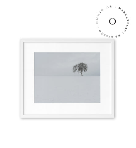 Lonely Tree Cuadro
