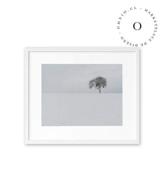 Lonely Tree Cuadro