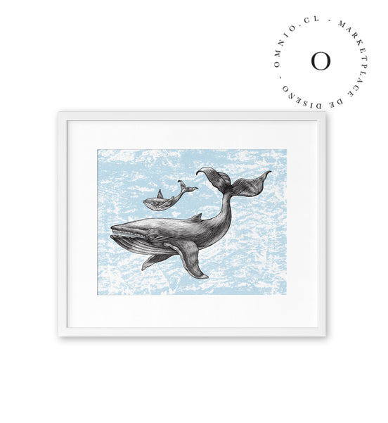 Mama Ballena Cuadro