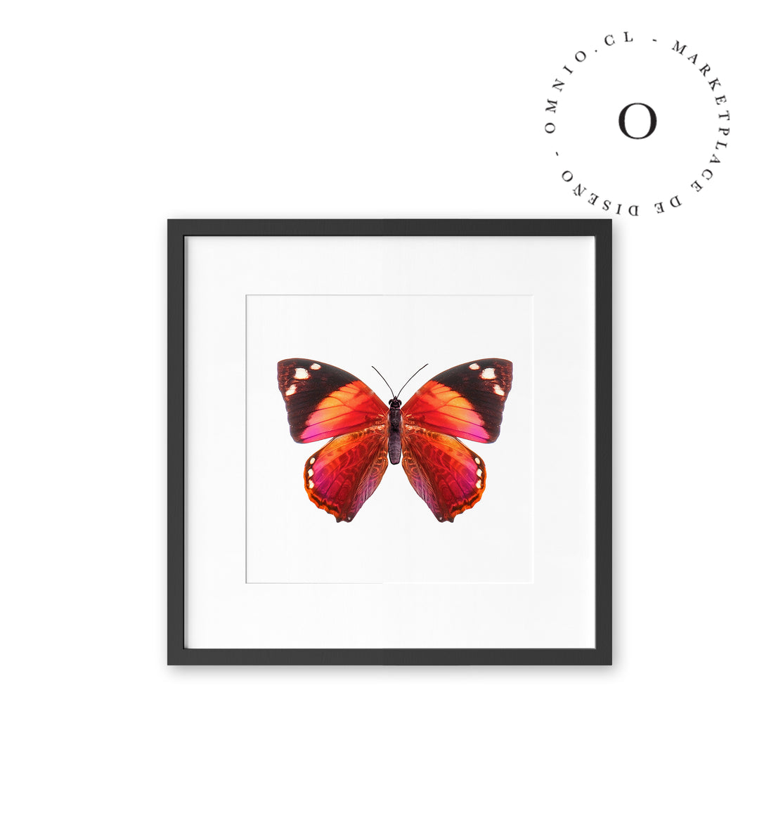 Mariposa Rosada Cuadro