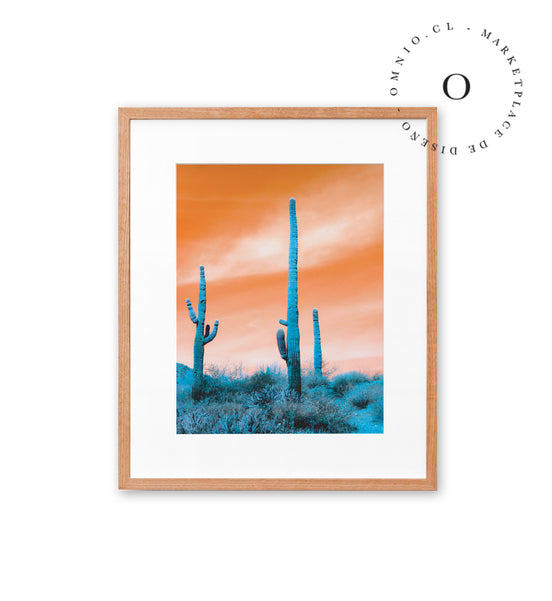 Orange Desert Cuadro