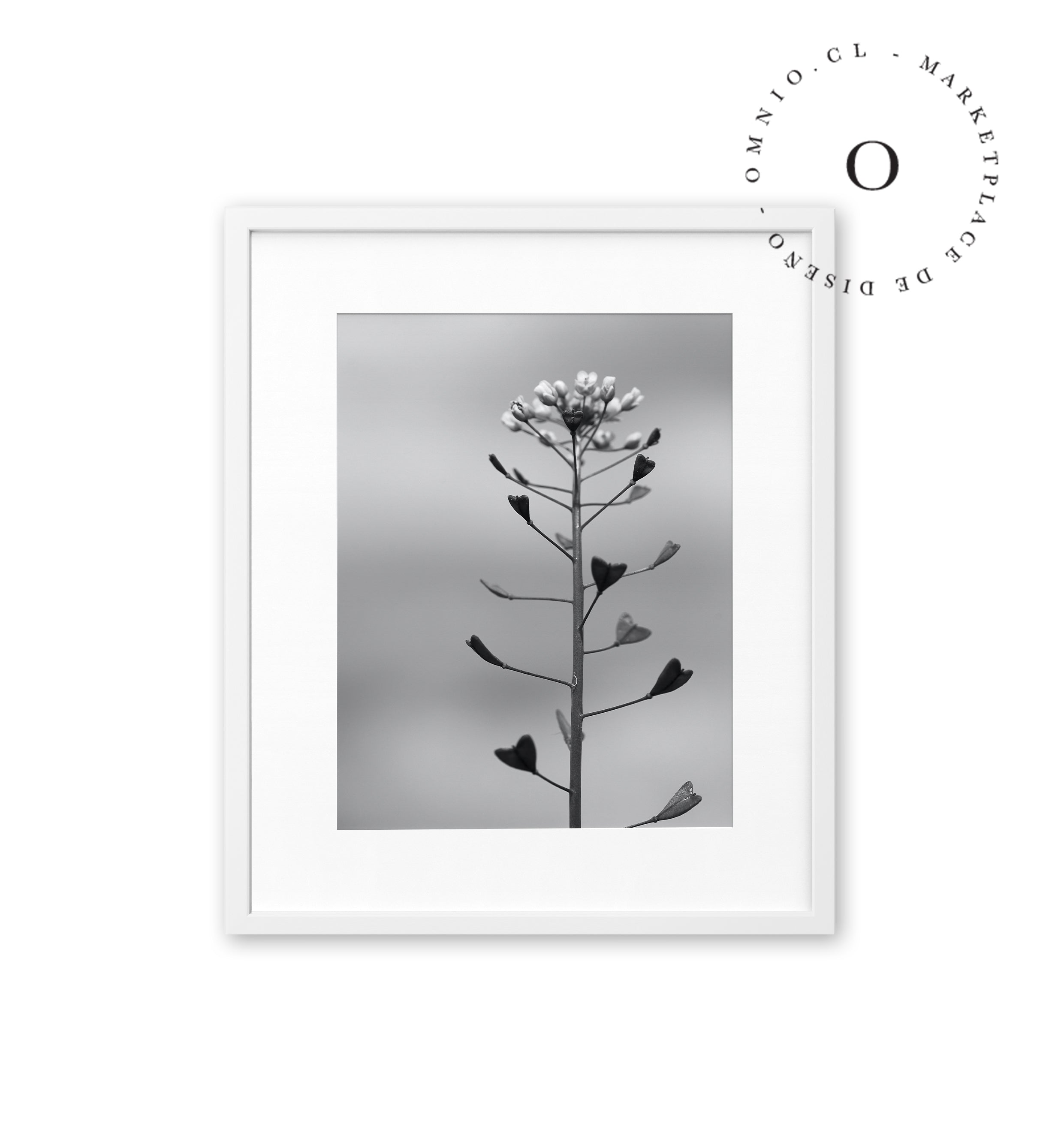 Planta Corazon Cuadro