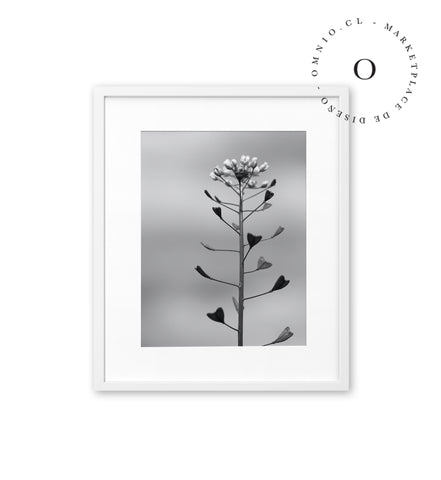 Planta Corazon Cuadro