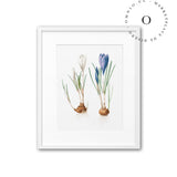 Raices Y Flores Cuadro