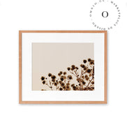 Soft Cotton Cuadro