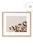 Soft Cotton Cuadro