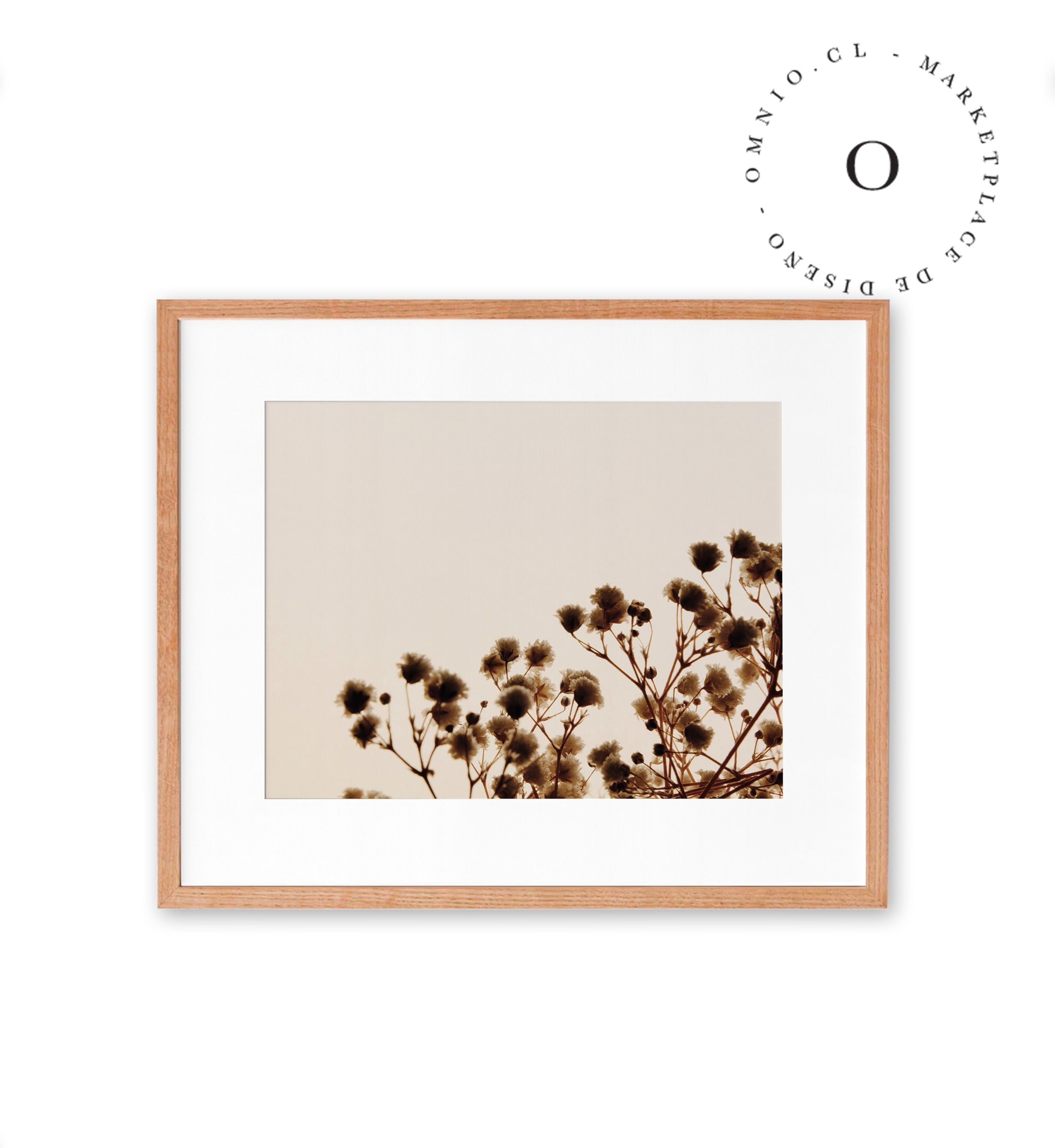 Soft Cotton Cuadro