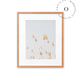 Soft Golden Grass Cuadro