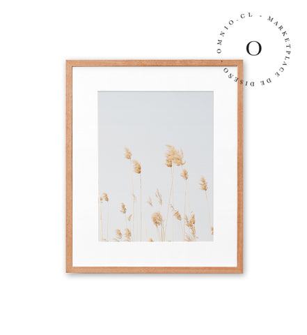 Soft Golden Grass Cuadro