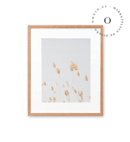Soft Golden Grass Cuadro