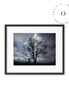 Sombra de Arbol Cuadro