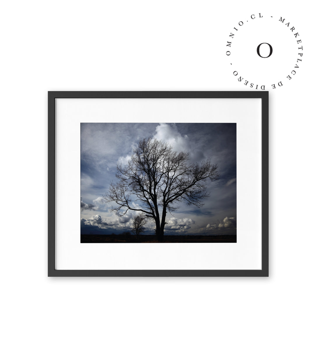 Sombra de Arbol Cuadro