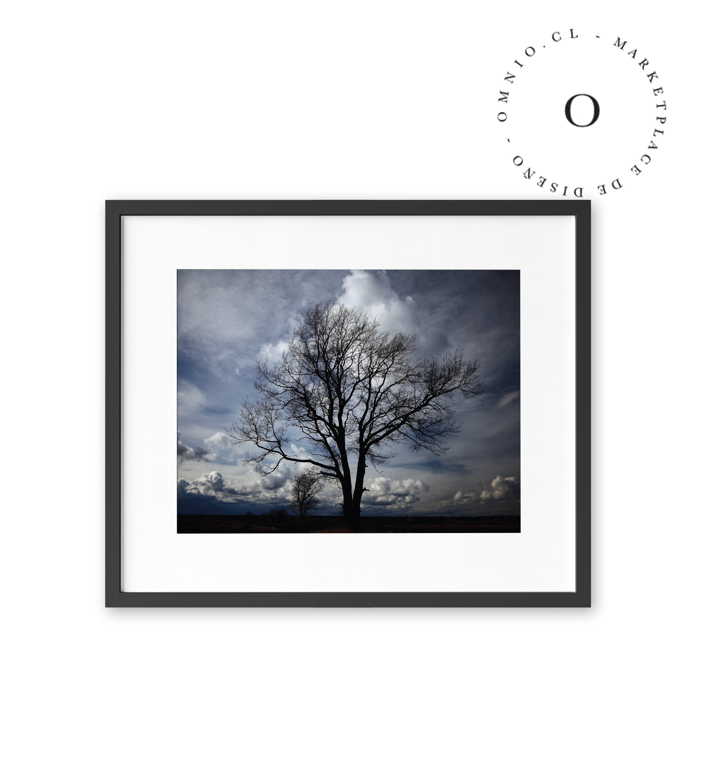 Sombra de Arbol Cuadro