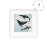 Tres Ballenas Cuadro