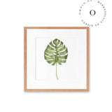 Tropical Leaf Cuadro