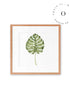 Tropical Leaf Cuadro