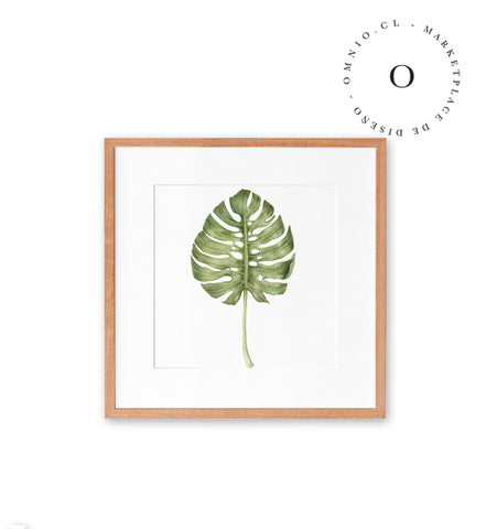 Tropical Leaf Cuadro