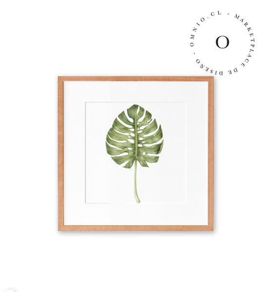 Tropical Leaf Cuadro