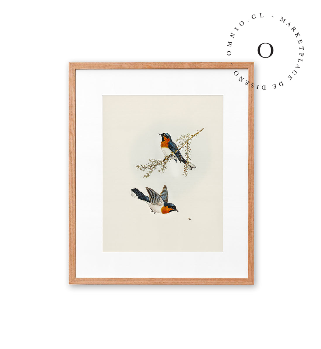 Two Orange Birds Cuadro