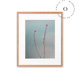 Two Pink Flowers Cuadro