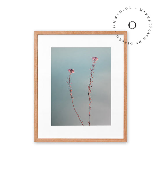 Two Pink Flowers Cuadro