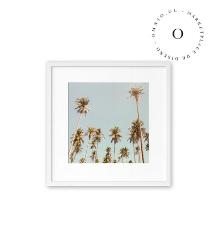 Vintage Palm Trees Cuadro