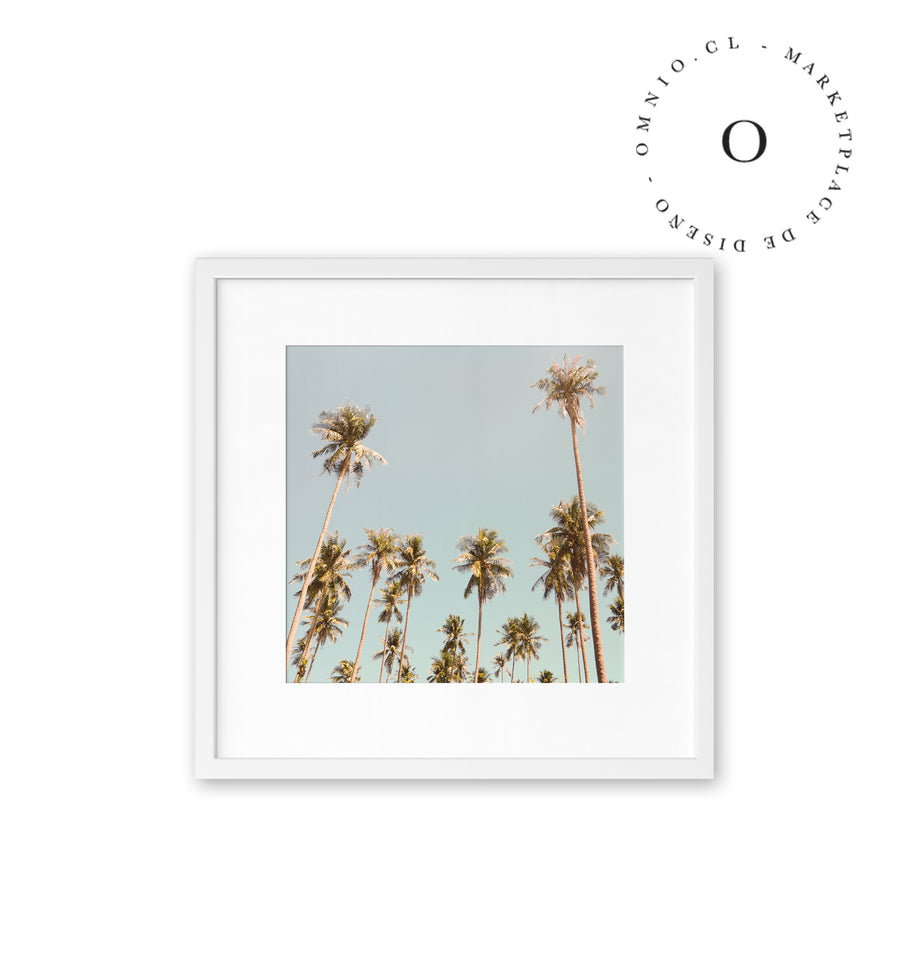Vintage Palm Trees Cuadro