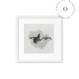 Watercolor I Orca Cuadro