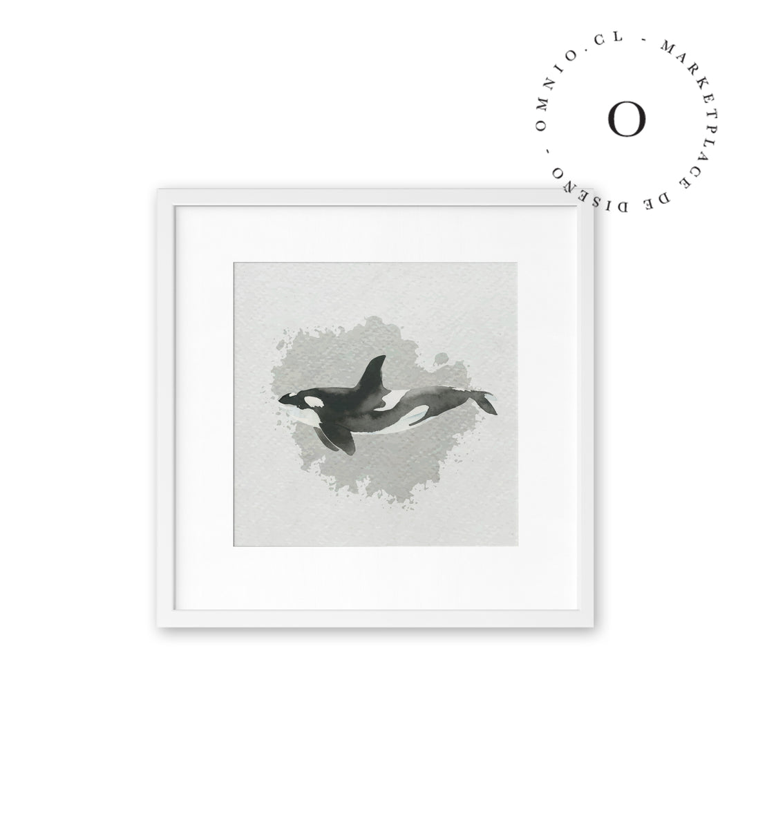 Watercolor I Orca Cuadro