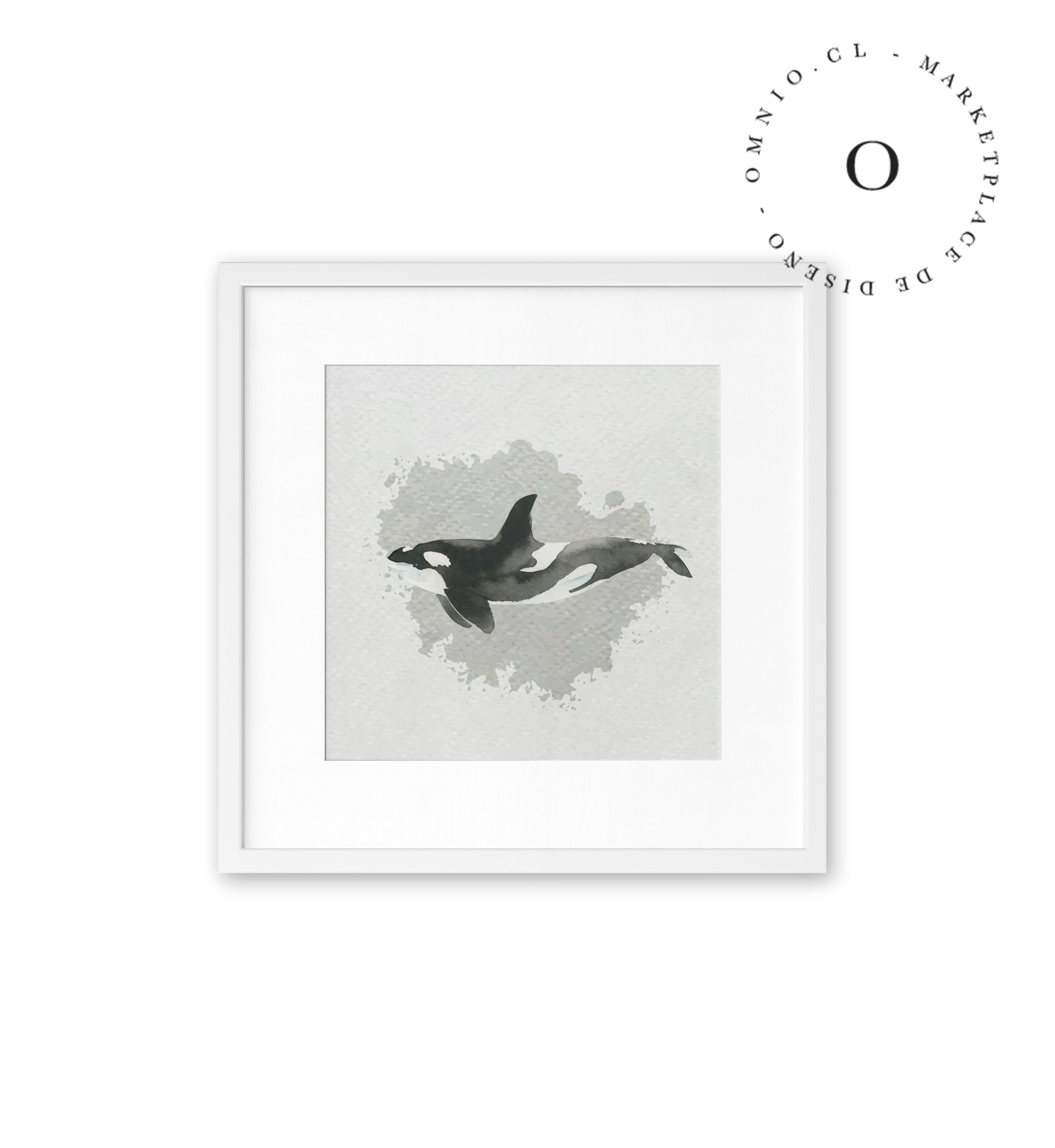Watercolor I Orca Cuadro