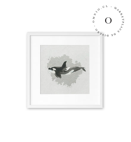 Watercolor I Orca Cuadro