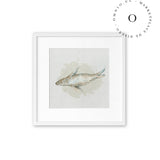 Watercolor I Seal Cuadro